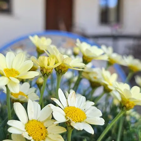 Ferienhaus Casa Tre Palmi