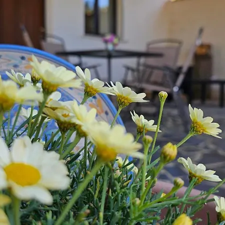 Casa Tre Palmi