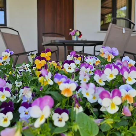 Casa Tre Palmi Holiday home