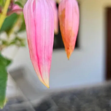 Casa Tre Palmi Holiday home