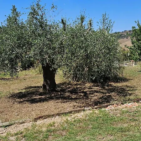 Dom wakacyjny Casa Tre Palmi