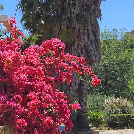 Dom wakacyjny Casa Tre Palmi *