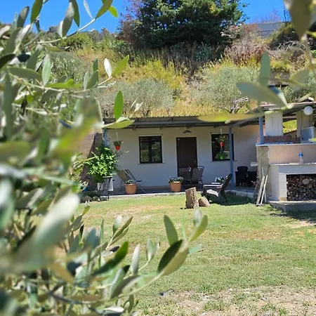 Casa Tre Palmi Ferienhaus Caltagirone