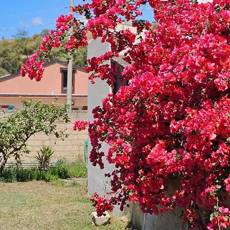 Dom wakacyjny Casa Tre Palmi Caltagirone