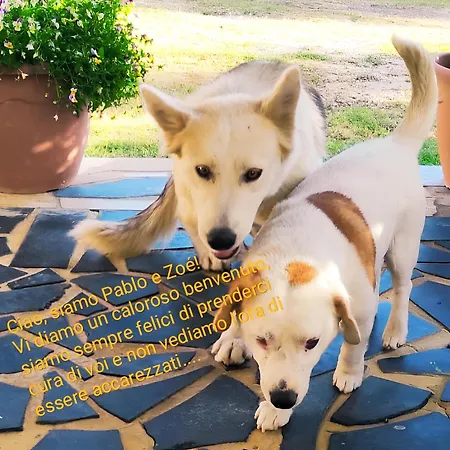 Casa Tre Palmi Dom wakacyjny Caltagirone