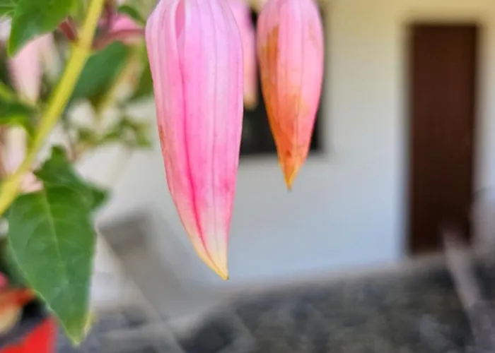 Casa Tre Palmi 度假居