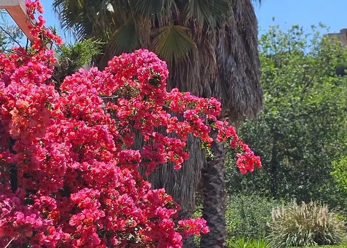 度假居 Casa Tre Palmi *